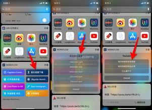怎么保存ins的视频,实用教程一网打尽