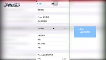 苹果6录制视频没声音,苹果6视频无声音故障排查指南