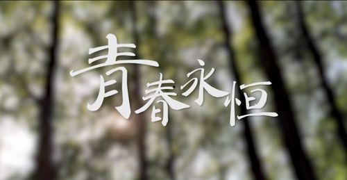 青春青草视频,探寻青春记忆中的绿色篇章