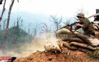 重返老山前线视频,老山前线记忆重现