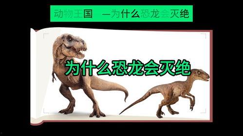 恐龙为什么会灭绝视频,揭秘地球史上最神秘的大灭绝事件
