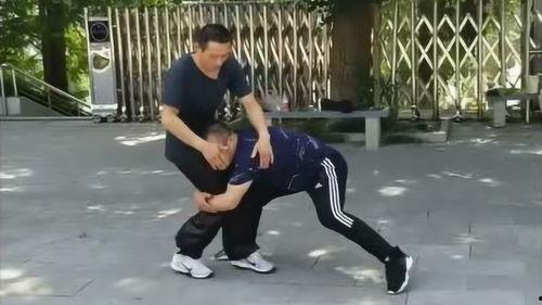 通臂拳教学视频,一招一式，尽展中华武术风采