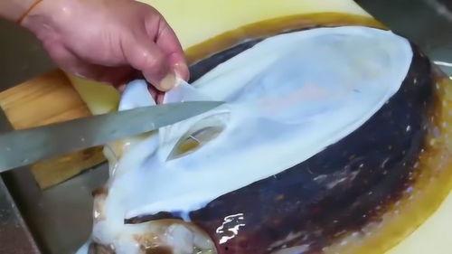 墨鱼处理方法视频,视频教程详解