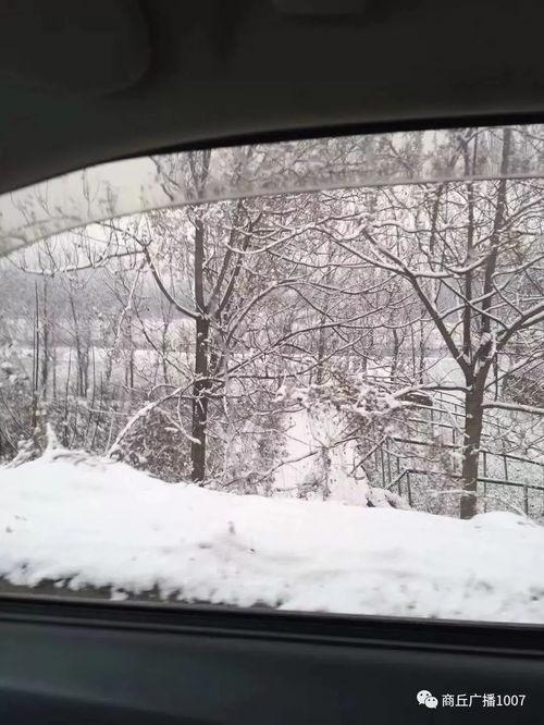 雪天视频,雪天美景视频中的冬日童话世界