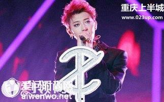 黄子韬演唱会视频