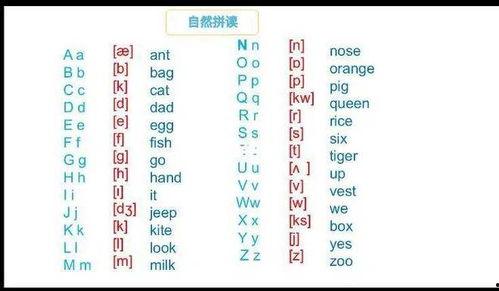 音语字母正确发音视频,音语字母发音视频精华概述